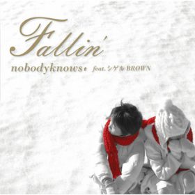 Fallin' -instrumental- feat. VQBROWN / nobodyknows+