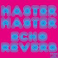 MASTER MASTER̋/VO - echo reverb (echo mix)
