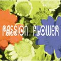 Ao - PASSION FLOWER / T-SQUARE