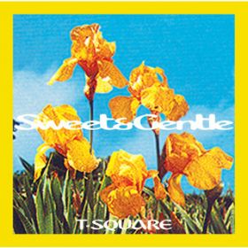 SWEET  GENTLE / T-SQUARE