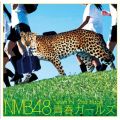 NMB48 Team N 2nd stage tK[Y