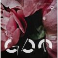 アルバム - GDM / globe