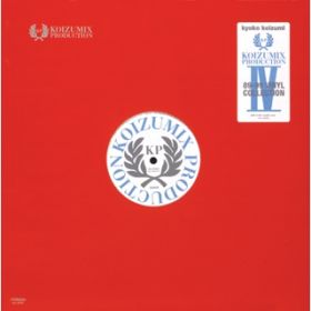 アルバム - 89 - 99 VINYL  COLLECTION / KOIZUMIX  PRODUCTION