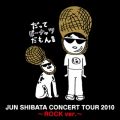 Ao - JUN SHIBATA CONCERT TOUR 2010`BALLAD verD` / ēc ~