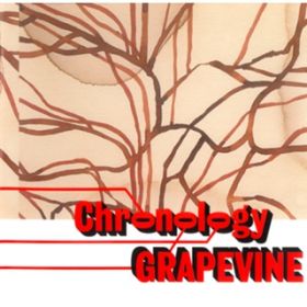 Our Song / GRAPEVINE