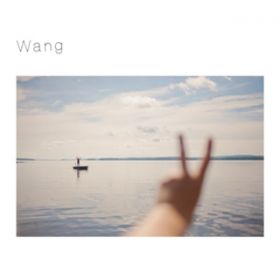 Ao - Wang / M