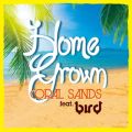 Home Grown̋/VO - Coral Sands feat. bird