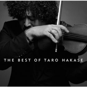 Ao - THE BEST OF TARO HAKASE / tY