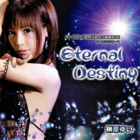 Eternal Destiny (instrumental) / DJ SHIMAMURA