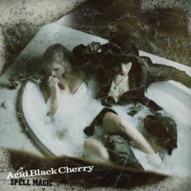 VCjEIN / Acid Black Cherry