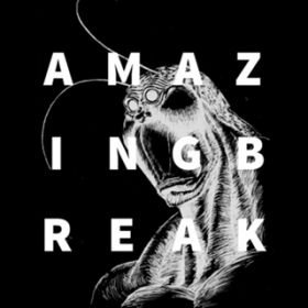 AMAZING BREAK(Instrumental) / TERRASPEX