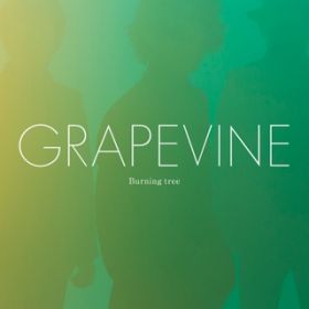 Empty song / GRAPEVINE