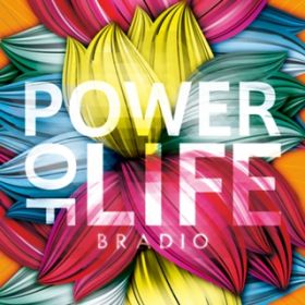 Ao - POWER OF LIFE / BRADIO