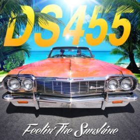 Feelinf The Sunshine / DS455