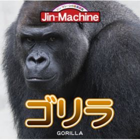 S / Jin-Machine