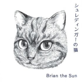 s̐ / Brian the Sun
