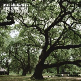 Ao - UE_CCOEIuEUECg / Noel Gallagher's High Flying Birds