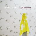Ao - BABEL,BABEL / GRAPEVINE