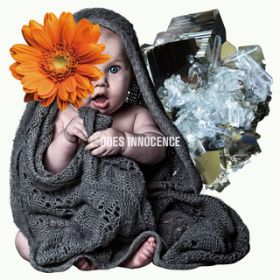 アルバム - INNOCENCE / DOES