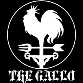 Ao - THE GALLO / M