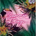 Rhett Fisher̋/VO - Summer Breeze