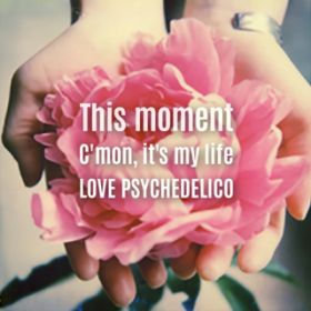 C'mon, it's my life / LOVE PSYCHEDELICO