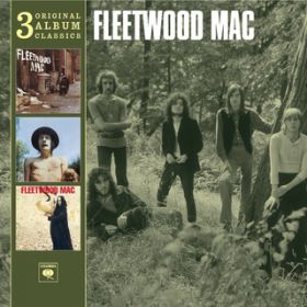 My Heart Beat Like a Hammer / Fleetwood Mac