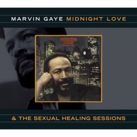 Turn On Some Music (Alternate Vocal^Mix) / MARVIN GAYE