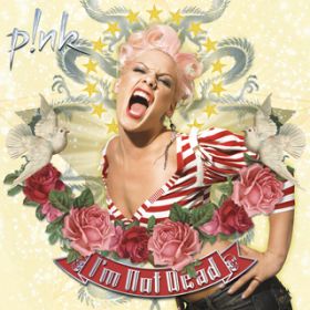 Nobody Knows / P!NK