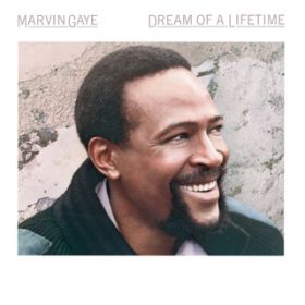 Ao - Dream Of A Lifetime / Marvin Gaye