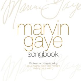 Dream of a Lifetime / Marvin Gaye