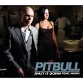 Ao - Shut It Down / Pitbull