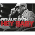 Pitbull̋/VO - Hey Baby (Drop It to the Floor) (Radio Edit) feat. T-Pain
