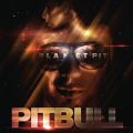 Ao - Planet Pit / Pitbull
