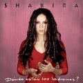 Ao - Donde Estan Los Ladrones / Shakira