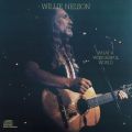 Ao - What A Wonderful World / Willie Nelson