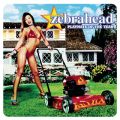 Ao - Playmate Of The Year / ZEBRAHEAD