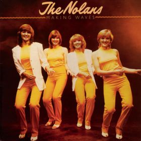 Don't Stoke The Fire / The Nolans