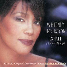 Moment Of Truth / Whitney Houston