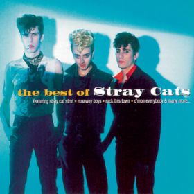 You Don't Believe Me / Stray Cats