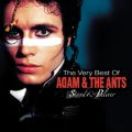 Ao - The Very Best Of / ADAM ANT