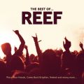 Ao - The Best Of / Reef