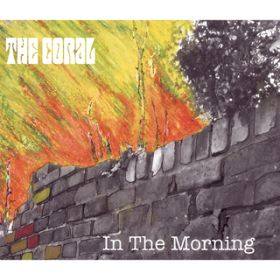 Ao - In The Morning / The Coral