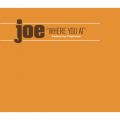 Joe̋/VO - Where You At (Instrumental) feat. Papoose