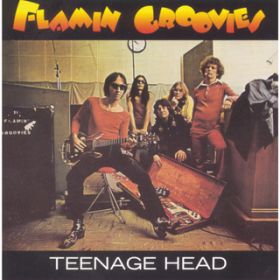 Scratch My Back / Flamin' Groovies