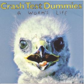 Ao - A Worm's Life / Crash Test Dummies