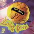 Ao - Biscuits / LIVING COLOUR