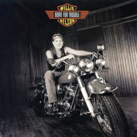 Pieces of My Life / Willie Nelson