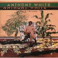 Ao - Could It Be Magic / Anthony White