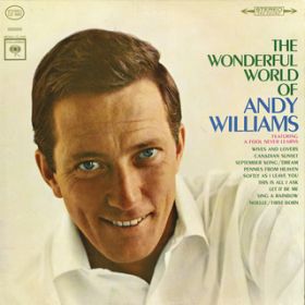 A Fool Never Learns (Single Version) / ANDY WILLIAMS